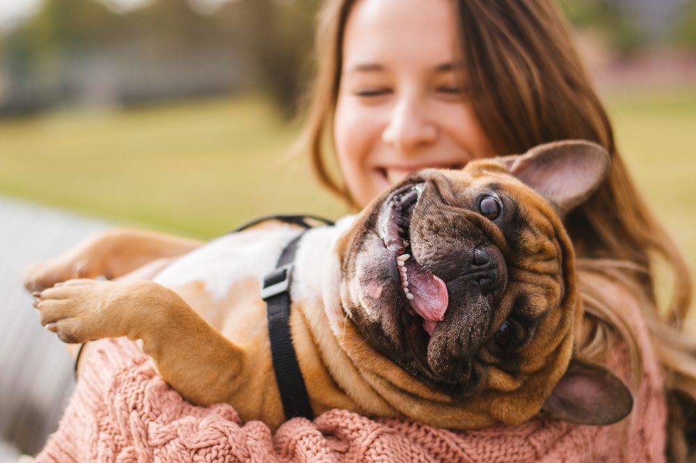 having fun with the dog